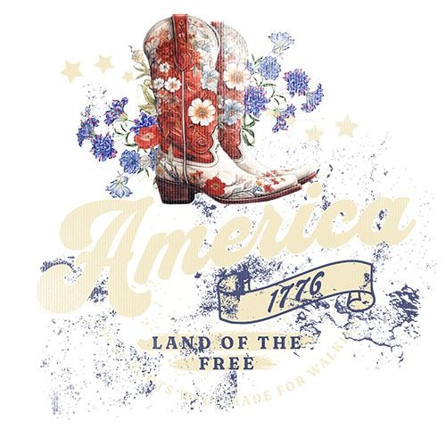 america land of the free a